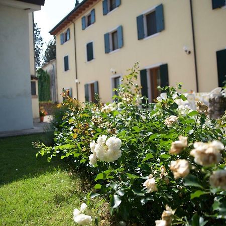 Agriturismo Albarello Sona Exterior photo