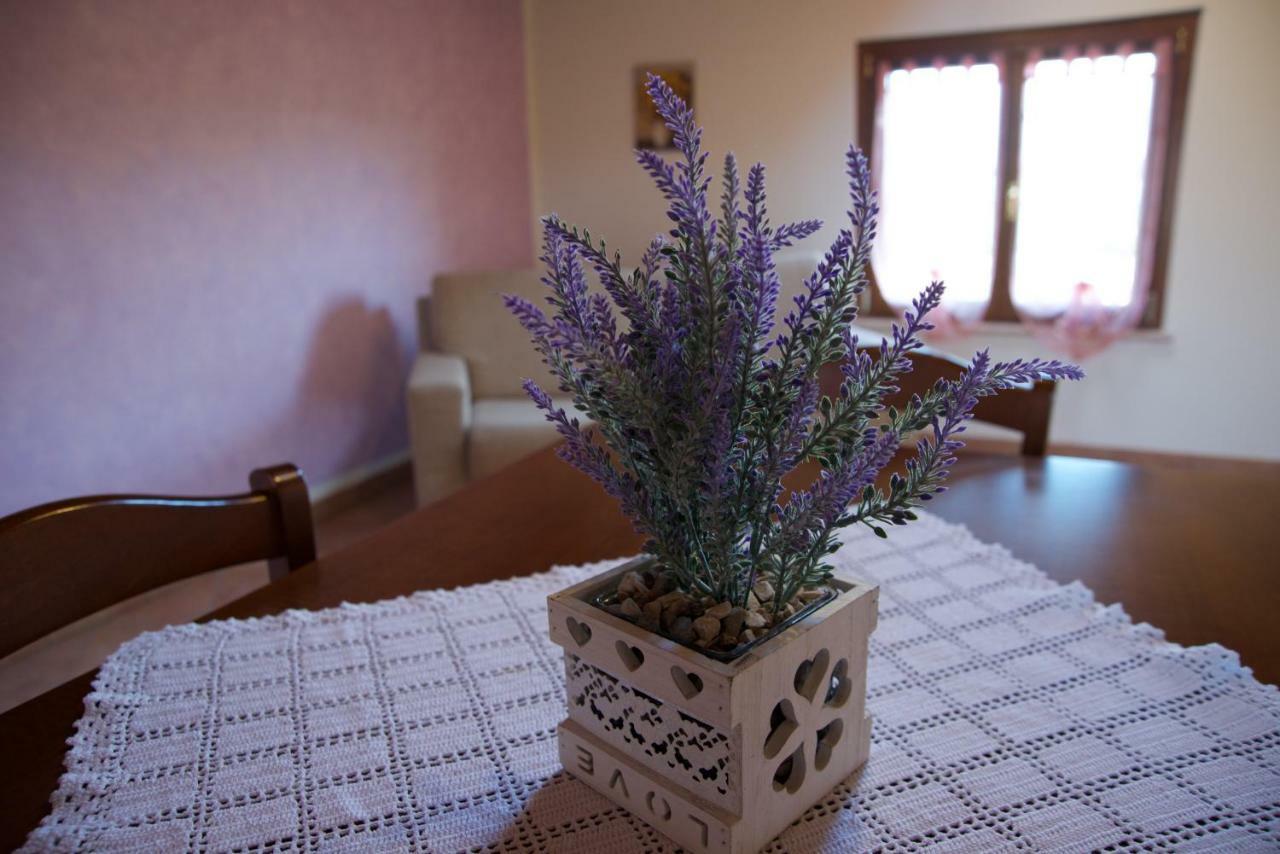Agriturismo Albarello Sona Exterior photo